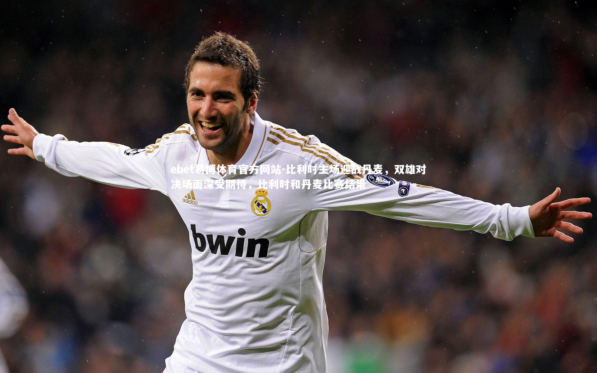 比利时主场迎战丹麦，双雄对决场面深受期待，比利时和丹麦比赛结果