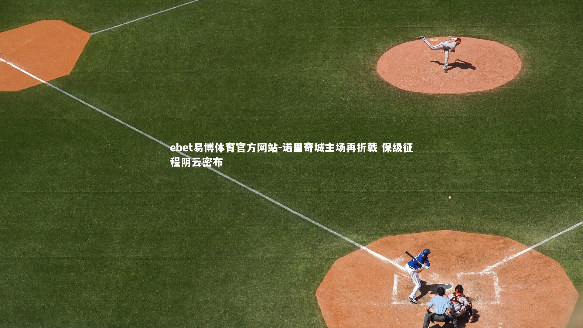 诺里奇城主场再折戟 保级征程阴云密布