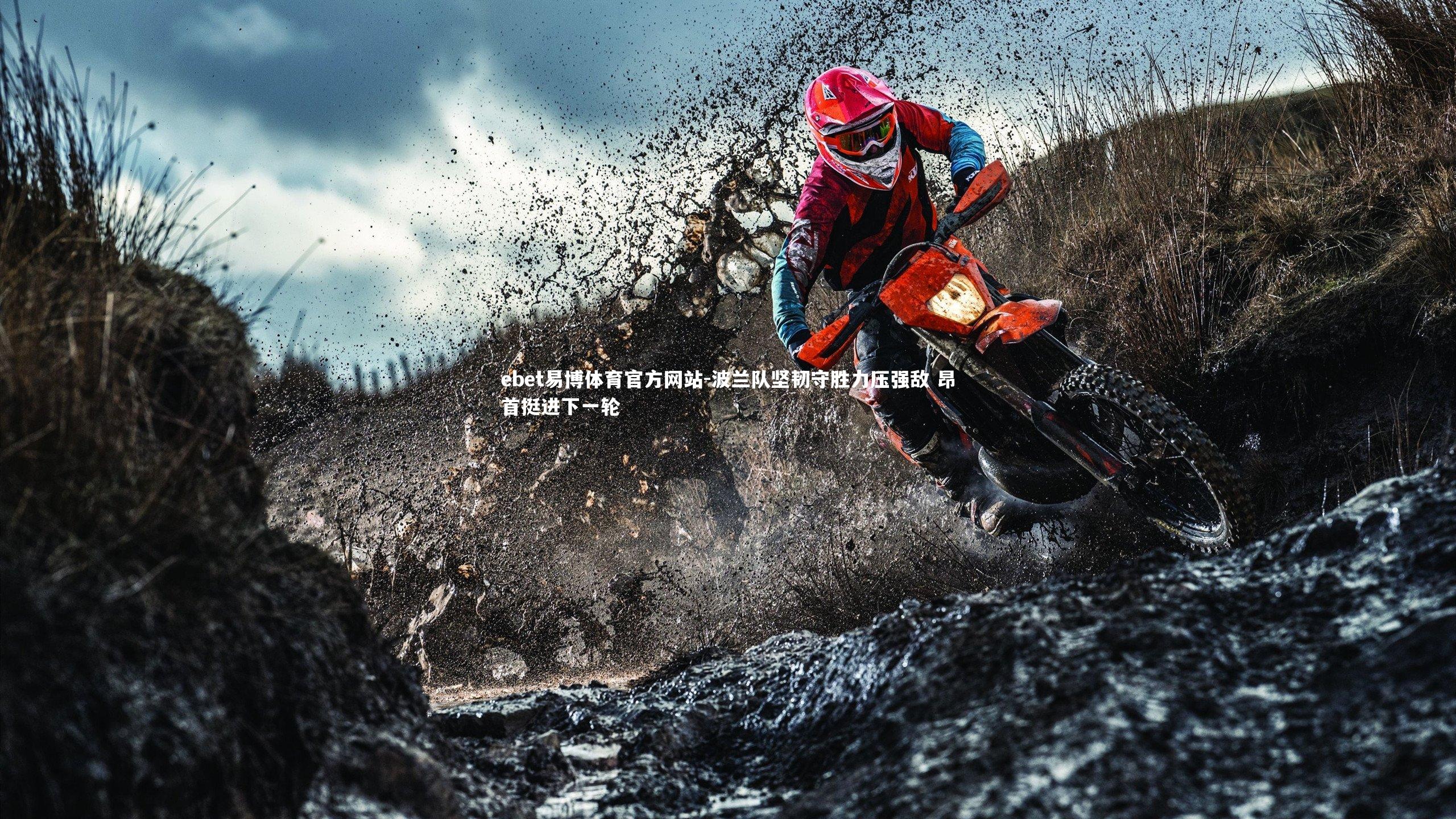 波兰队坚韧守胜力压强敌 昂首挺进下一轮